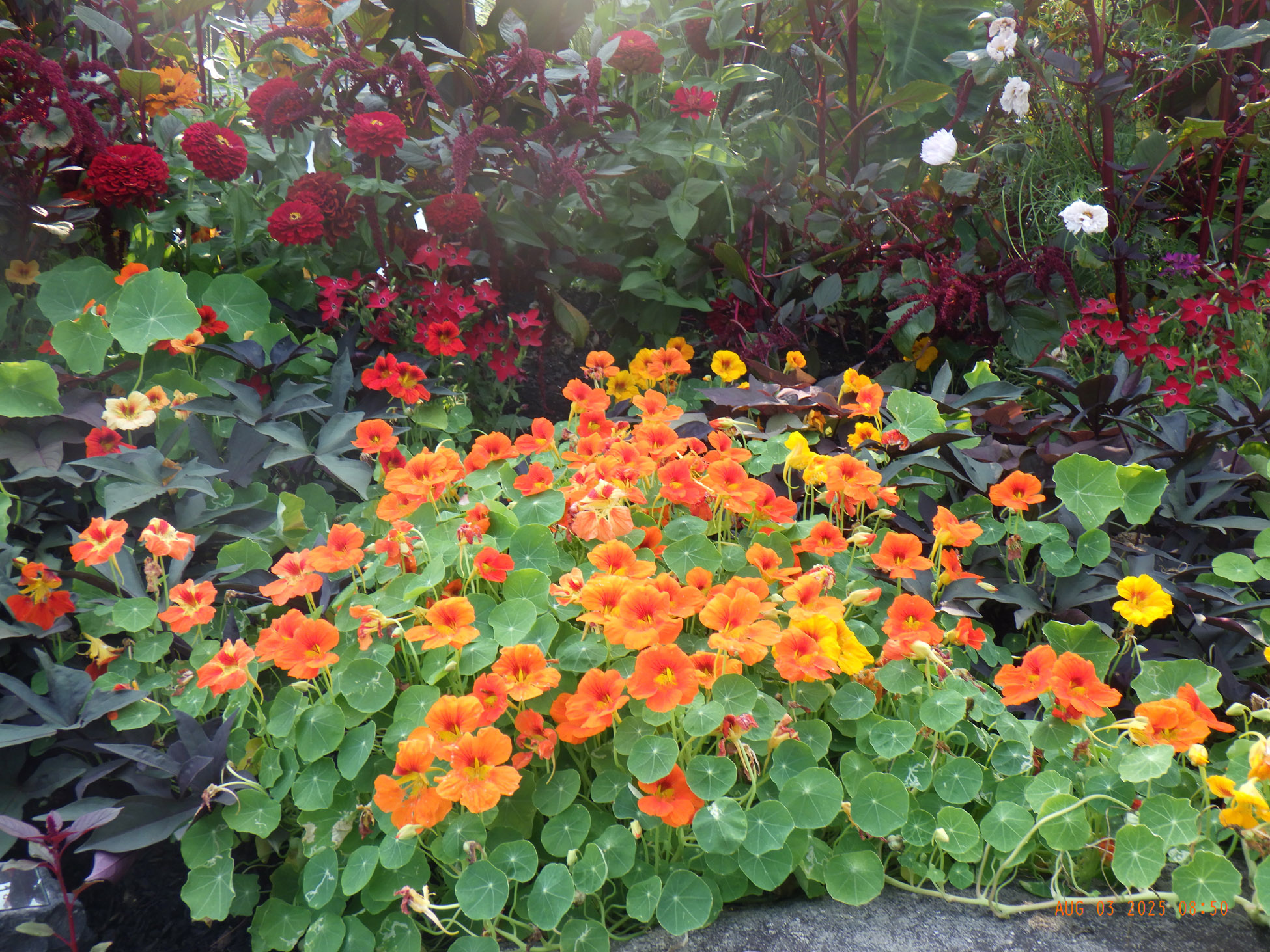 Greenleaf's Garden Design, Tyngsboro, MA (1)