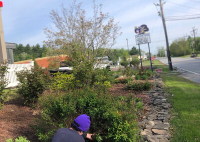 Dream Diner Gardens Renewal in Tyngsboro, MA