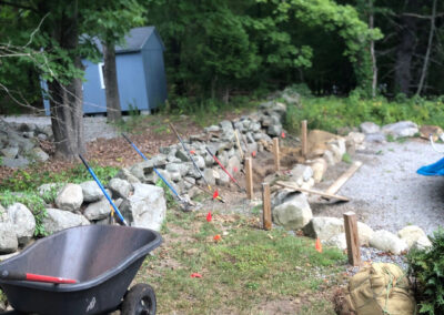 Evergreen Privacy Screen Installation in Westford, MA
