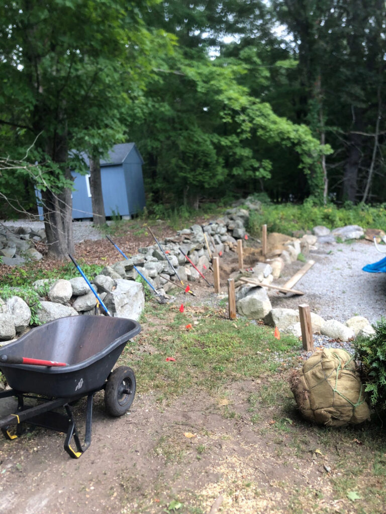 Evergreen Privacy Screen Installation in Westford, MA
