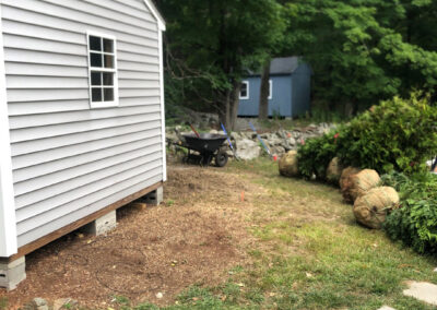 Evergreen Privacy Screen Installation in Westford, MA