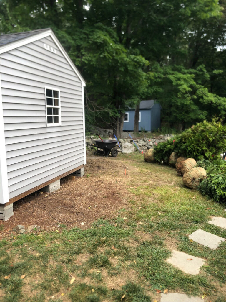Evergreen Privacy Screen Installation in Westford, MA