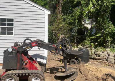 Evergreen Privacy Screen Installation in Westford, MA