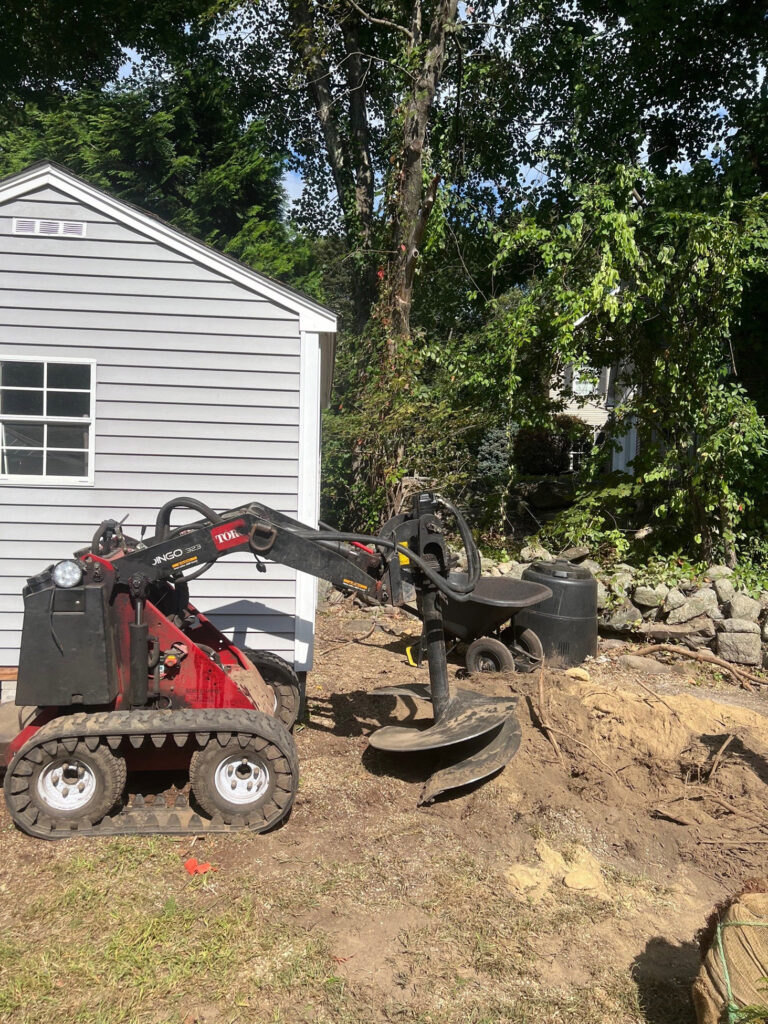 Evergreen Privacy Screen Installation in Westford, MA
