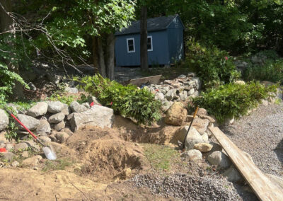 Evergreen Privacy Screen Installation in Westford, MA