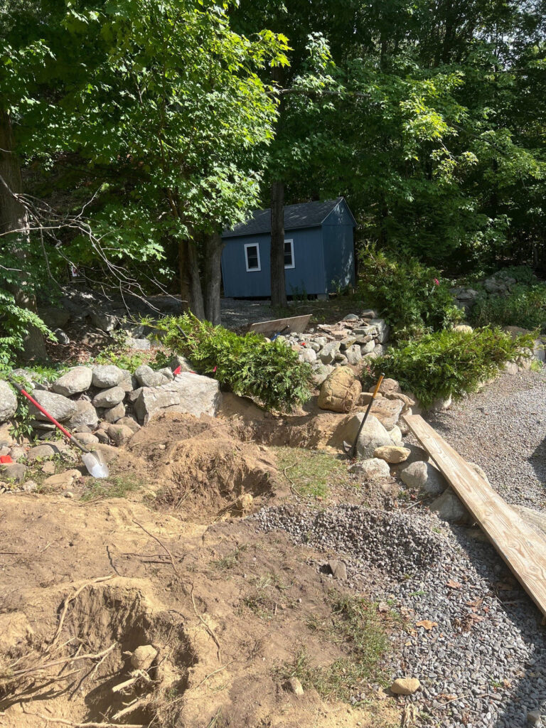 Evergreen Privacy Screen Installation in Westford, MA