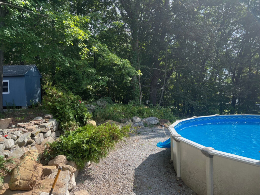 Evergreen Privacy Screen Installation in Westford, MA