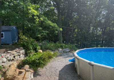 Evergreen Privacy Screen Installation in Westford, MA