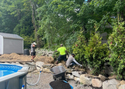 Evergreen Privacy Screen Installation in Westford, MA