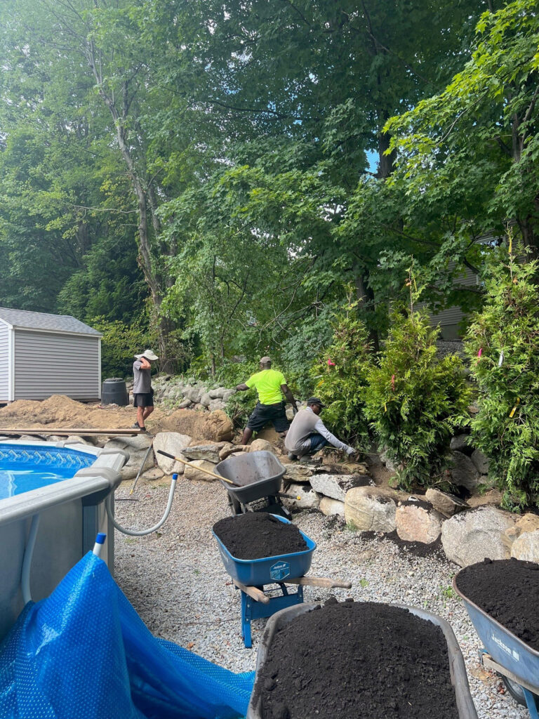 Evergreen Privacy Screen Installation in Westford, MA