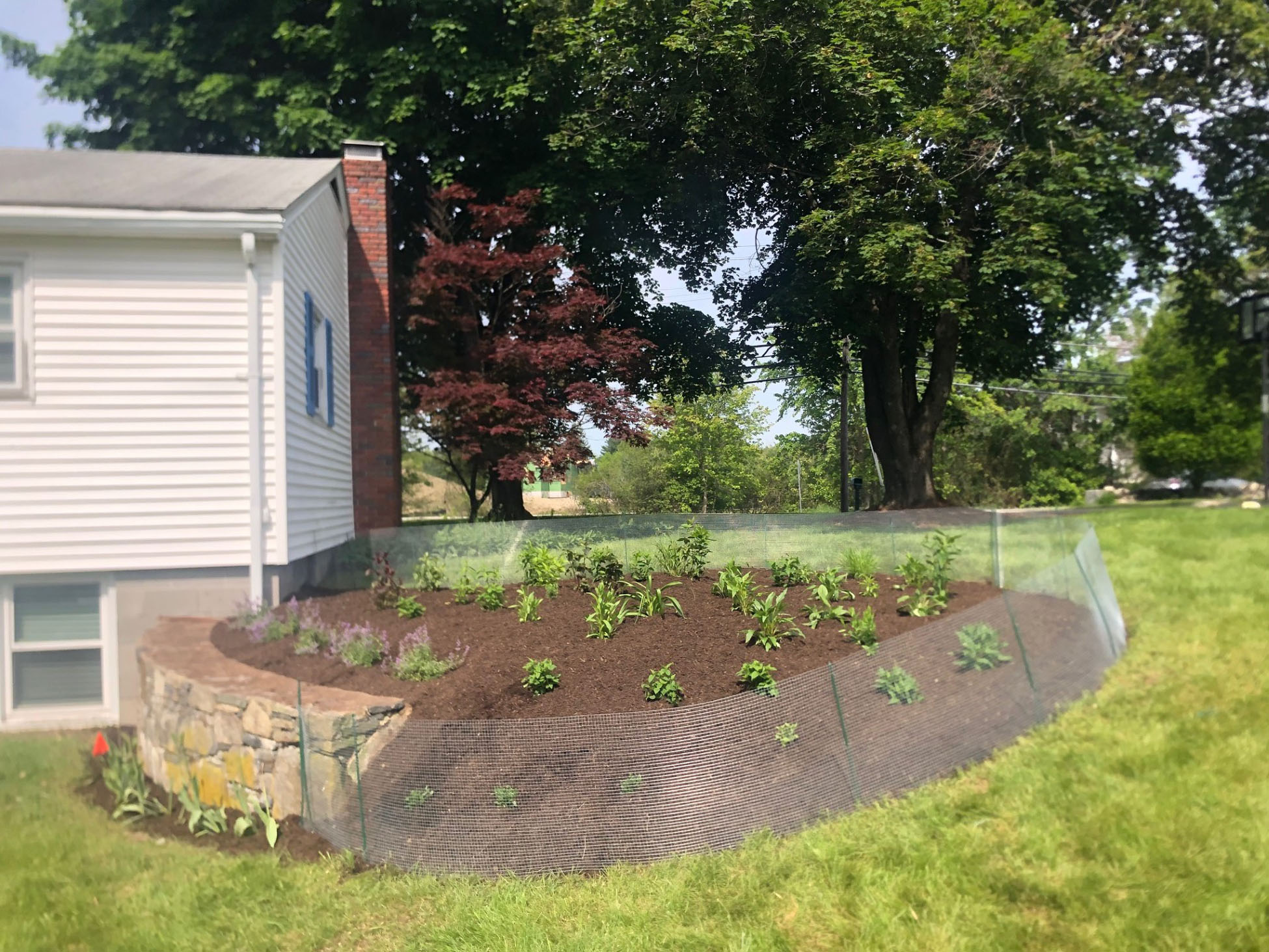 Bunny Proof garden in Westford, MA by Greenleaf's Garden Design