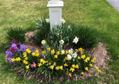 Perennial Reformation in Westford, MA