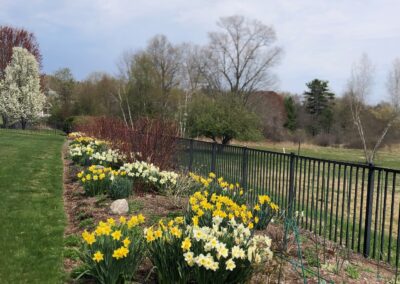 Perennial Reformation in Westford, MA