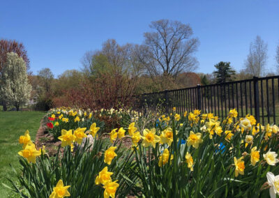 Perennial Reformation in Westford, MA