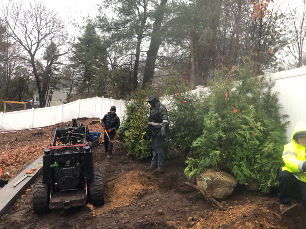Garden Design and Shrub Installation in Wilmington, MA. During