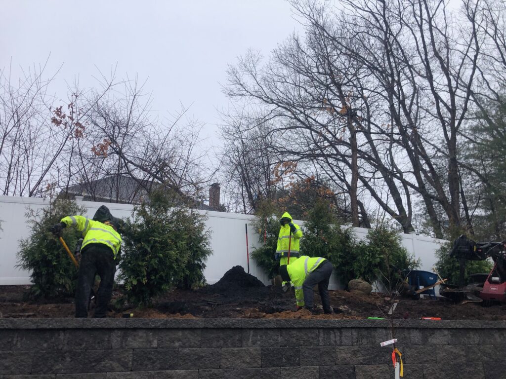 Garden Design and Shrub Installation in Wilmington, MA. During