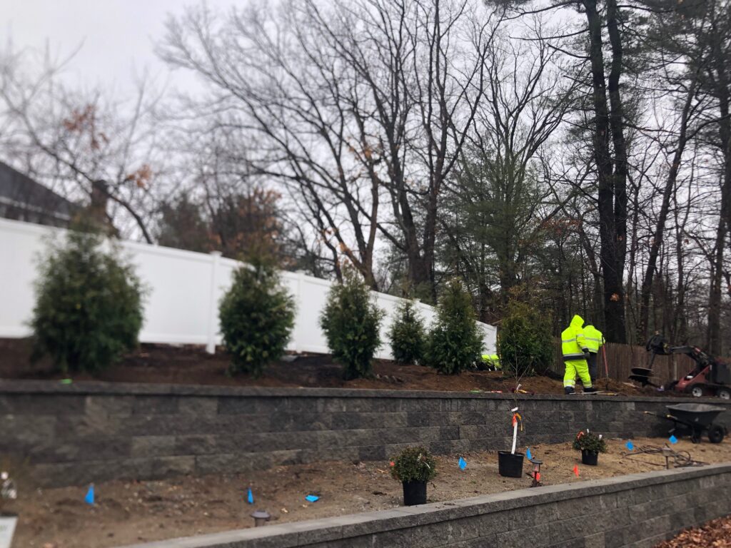 Garden Design and Shrub Installation in Wilmington, MA. During