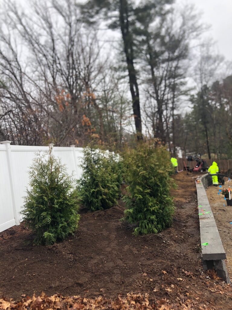 Garden Design and Shrub Installation in Wilmington, MA. After