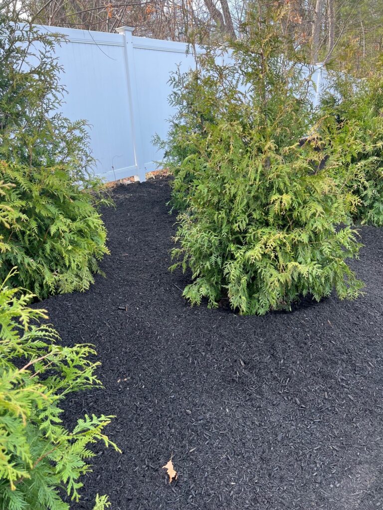 Garden Design and Shrub Installation in Wilmington, MA. After