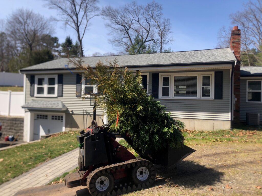 Garden Design and Shrub Installation in Wilmington, MA. Before