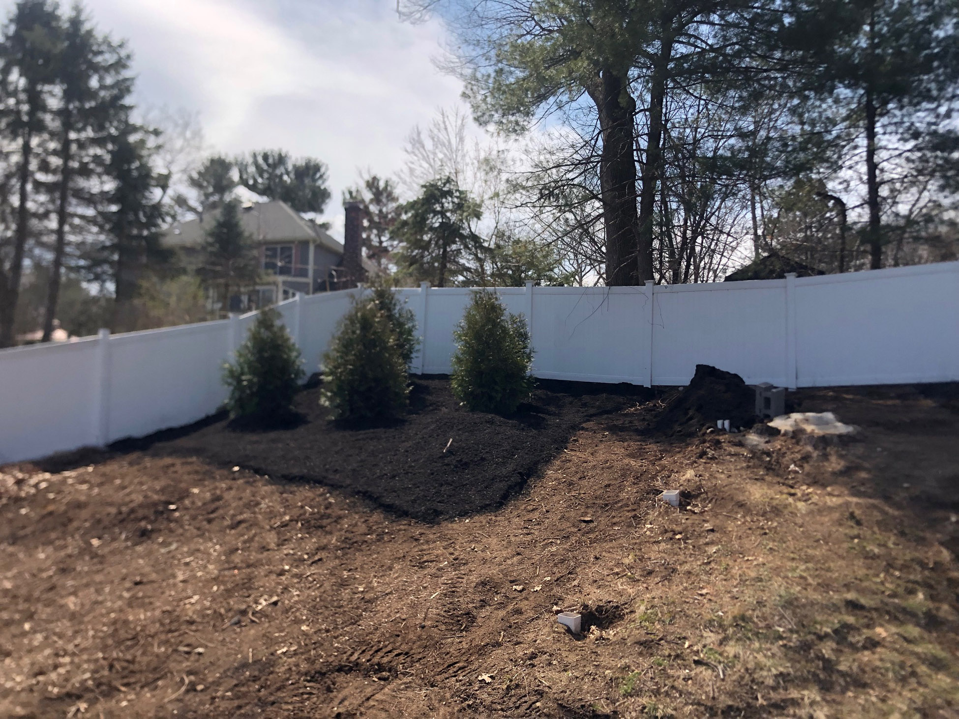 Tree Planting with Greenleaf's Garden Design