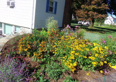 Greenleaf's Garden Design and Bunny Fence in Westford, MA. (1)