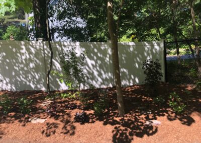 Grennleafs-Garden-Design-Shade-Garden-11