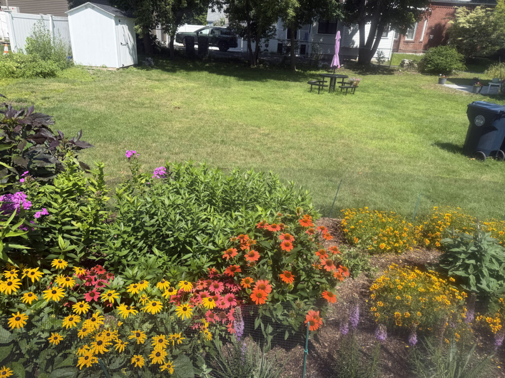 This is exactly why I love using summer-blooming perennials: plant them once, give them the right conditions, and enjoy the show year after year.