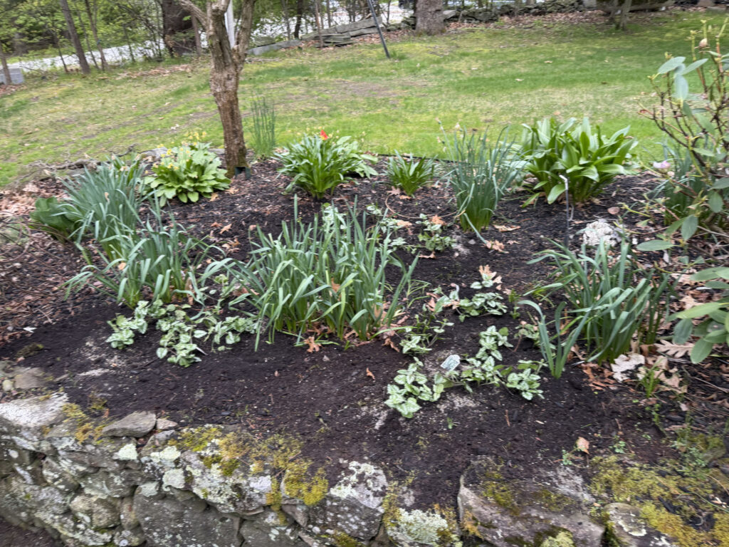 Garden Installation & Seasonal Maintenance in Nashua, NH
