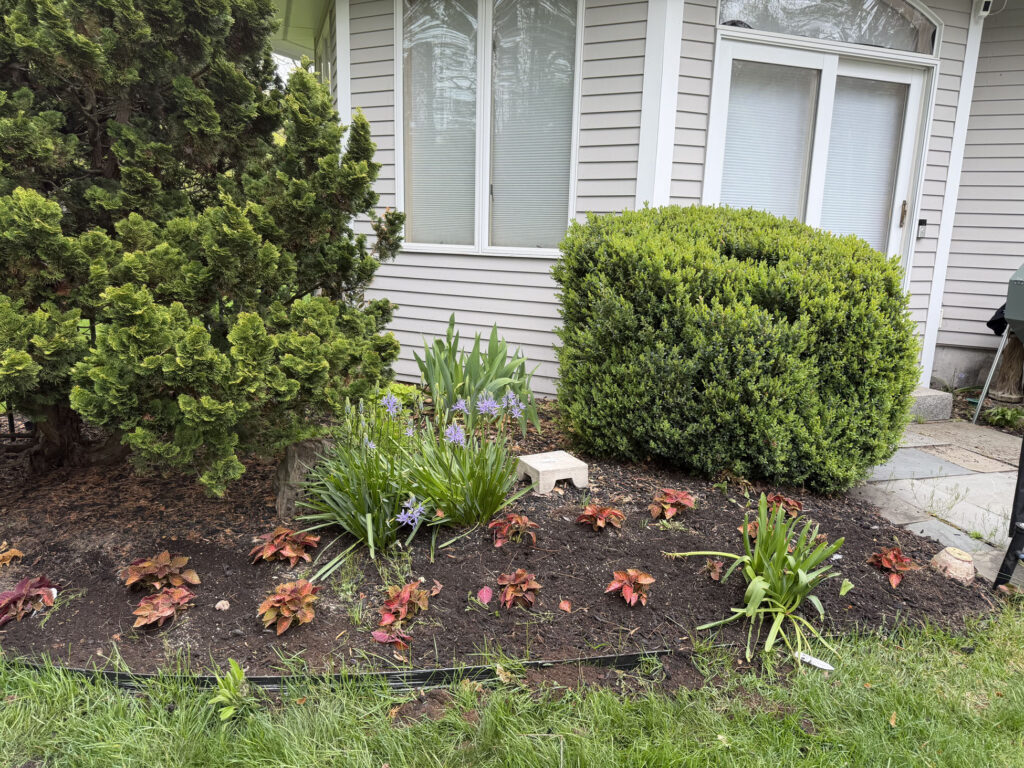 Garden Installation & Seasonal Maintenance in Nashua, NH