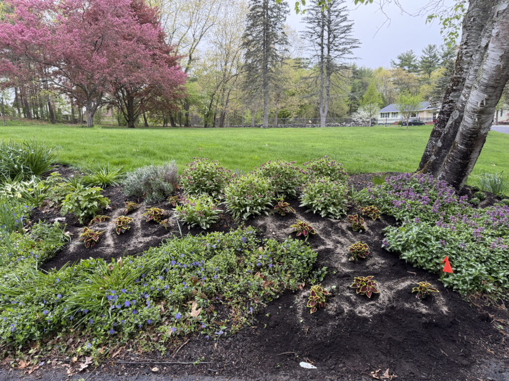 Garden Installation & Seasonal Maintenance in Nashua, NH