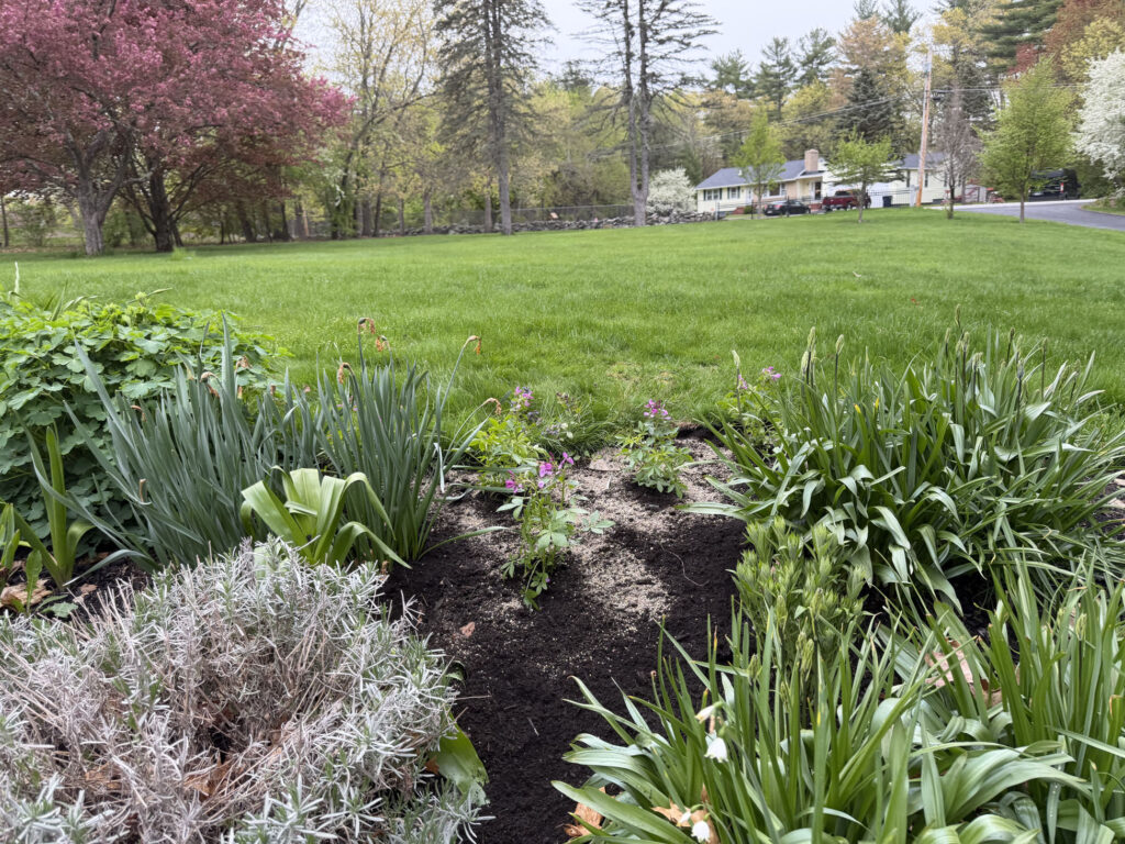 Garden Installation & Seasonal Maintenance in Nashua, NH