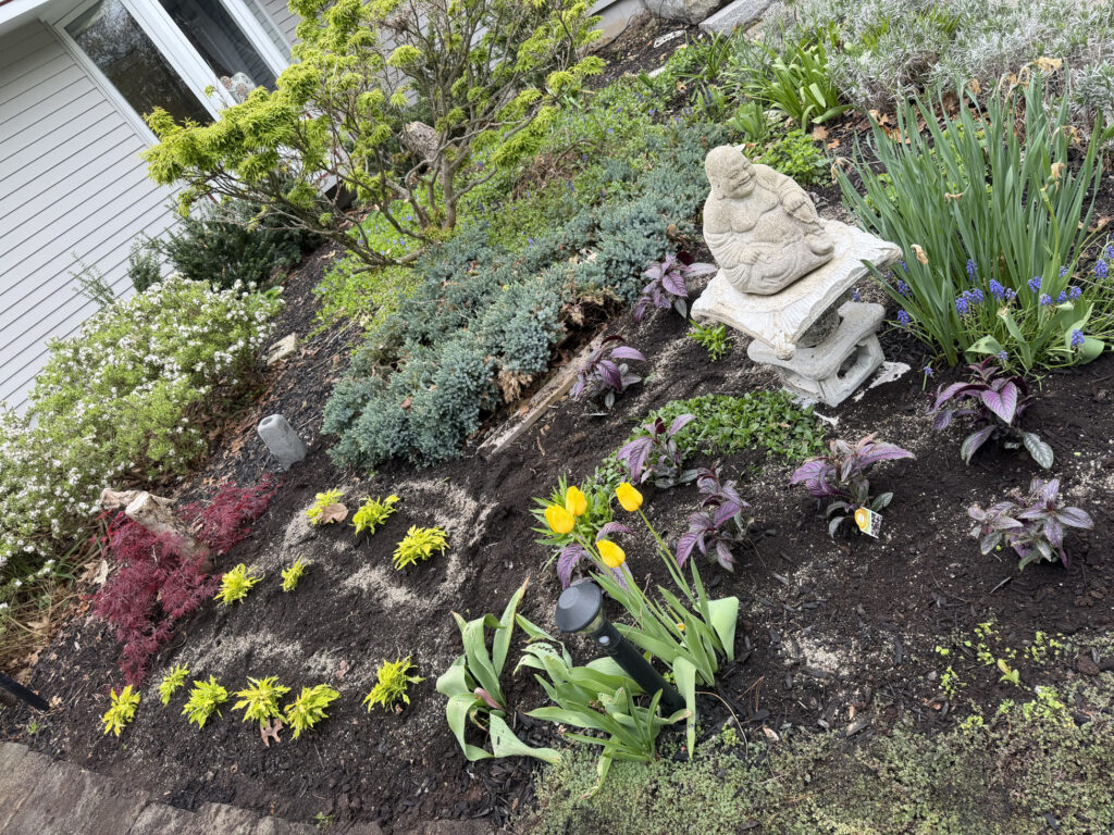 Garden Installation & Seasonal Maintenance in Nashua, NH
