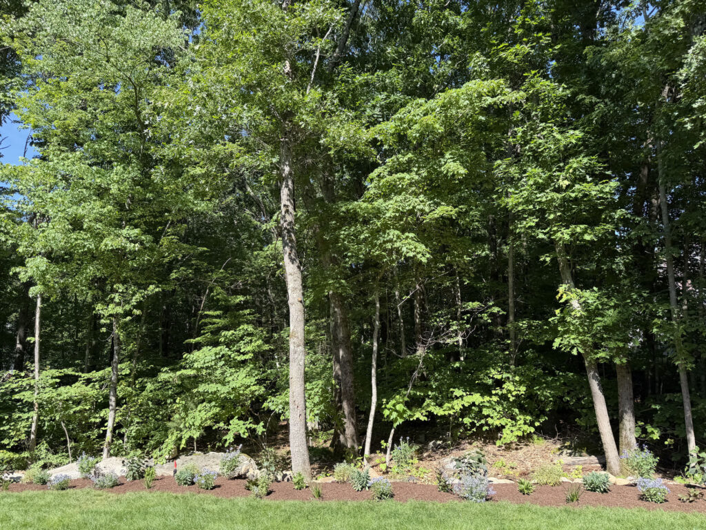 Garden Design & Installation in Tyngsboro, MA