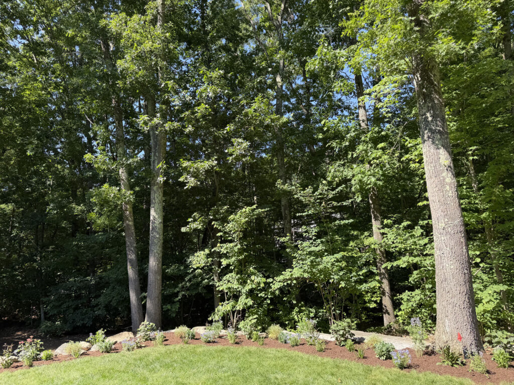 Garden Design & Installation in Tyngsboro, MA
