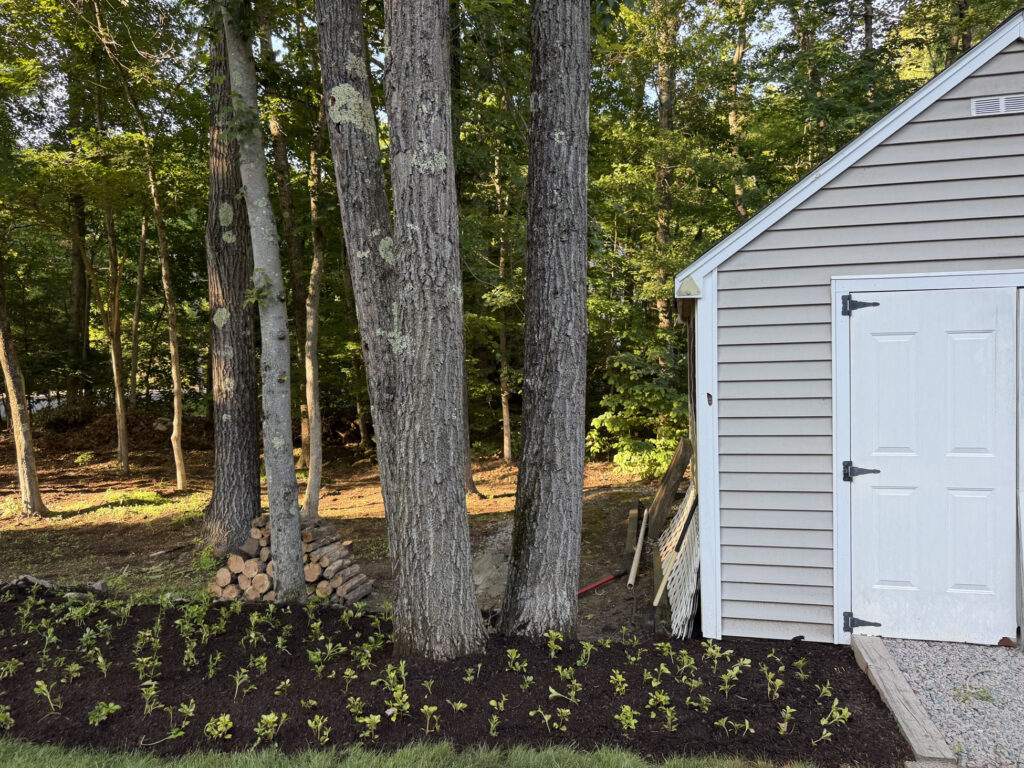 Garden Design & Installation in Tyngsboro, MA