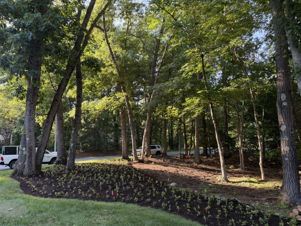 Garden Design & Installation in Tyngsboro, MA