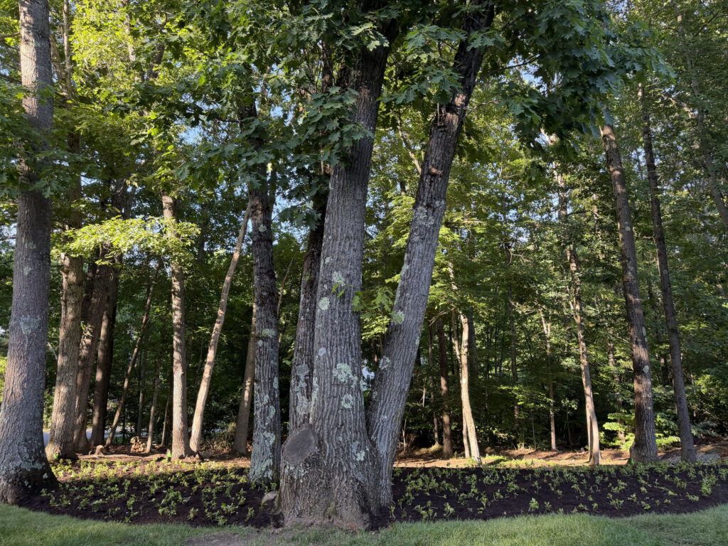 Garden Design & Installation in Tyngsboro, MA