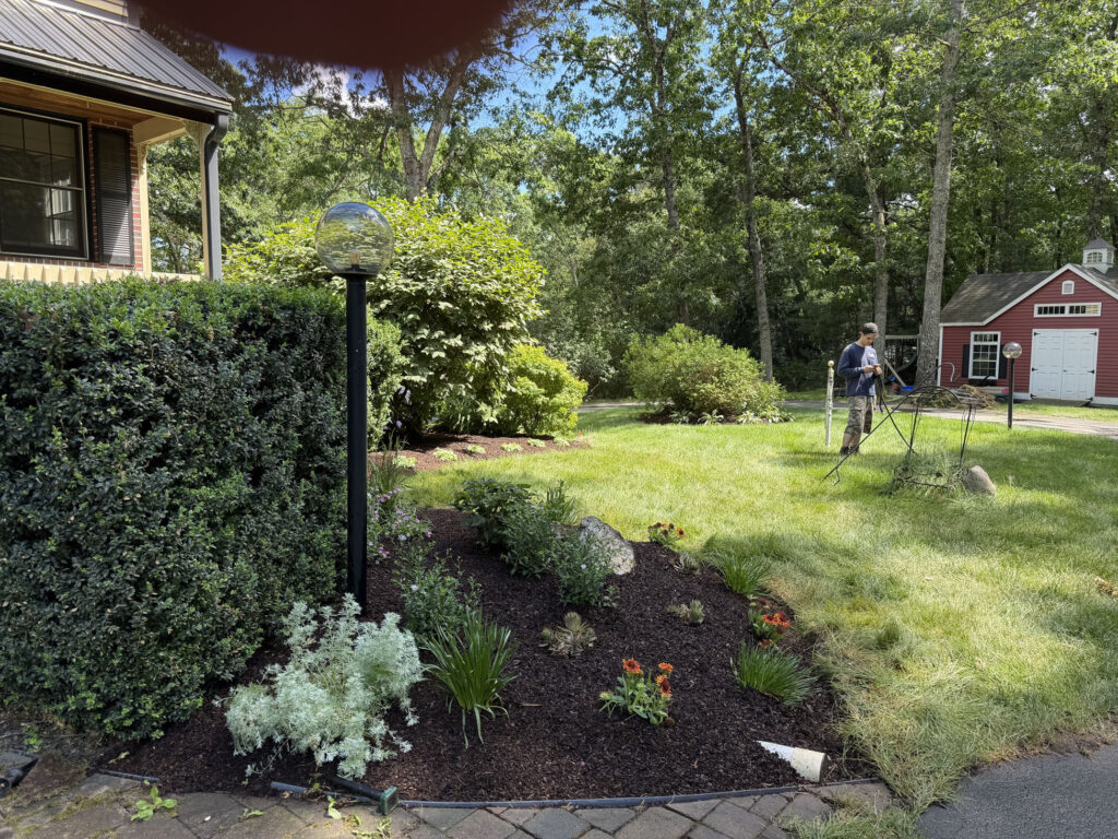 We revitalized seven existing garden beds, each with mostly shade or part-sun conditions. After walking the property with the homeowner, we decided to expand the original vision by incorporating even more shade-loving perennials to create a lush, layered display that will become even more beautiful each season.