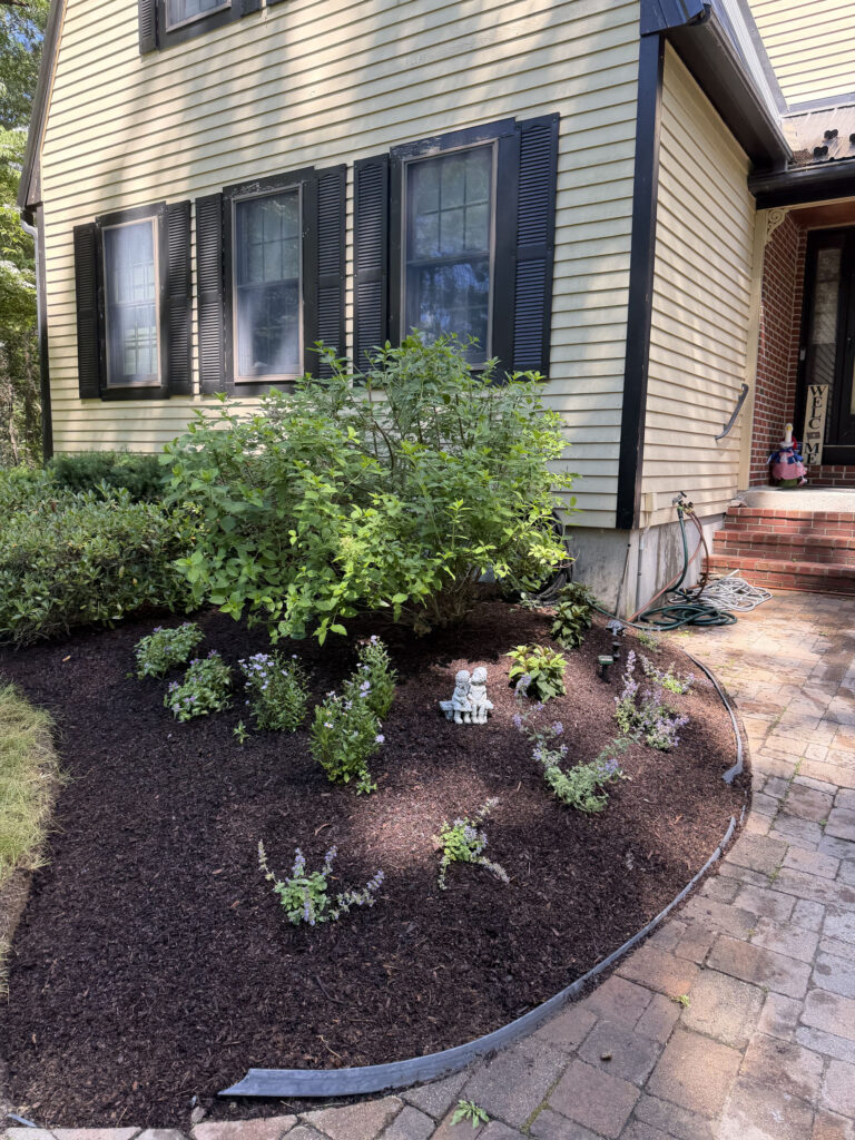 We revitalized seven existing garden beds, each with mostly shade or part-sun conditions. After walking the property with the homeowner, we decided to expand the original vision by incorporating even more shade-loving perennials to create a lush, layered display that will become even more beautiful each season.