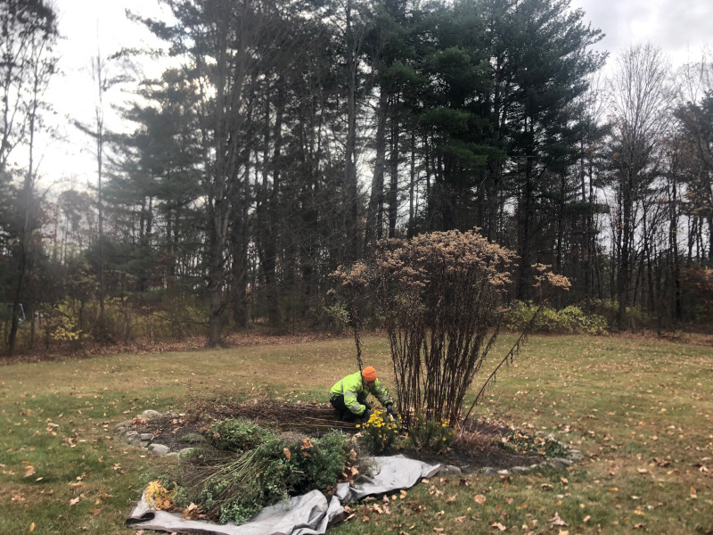 Garden Maintenance and Cleanup in Pepperell, MA.