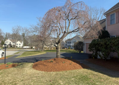 🌿 Garden Maintenance and Design in Westford, MA