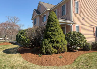 🌿 Garden Maintenance and Design in Westford, MA