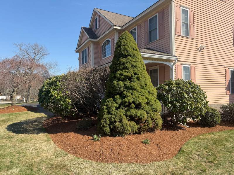🌿 Garden Maintenance and Design in Westford, MA