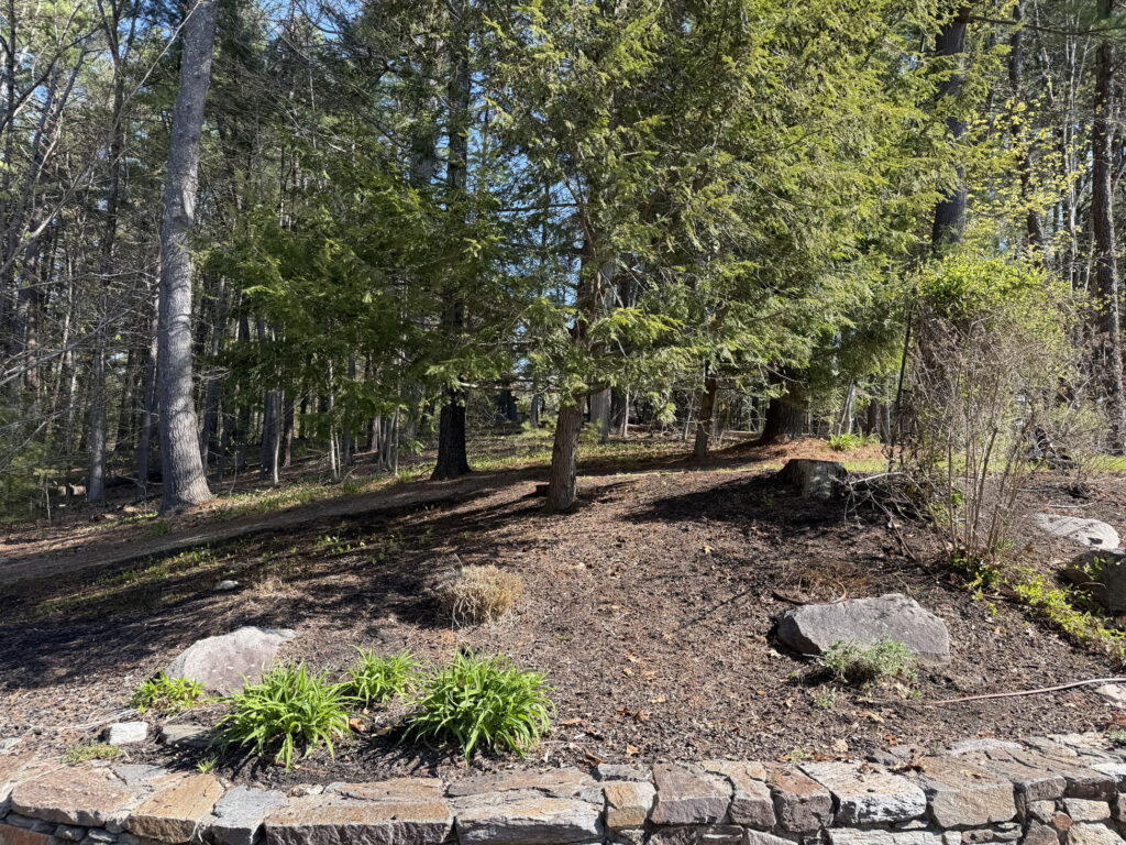 🌿Garden Design and Installation in Hollis, NH