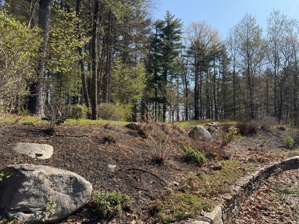 🌿Garden Design and Installation in Hollis, NH