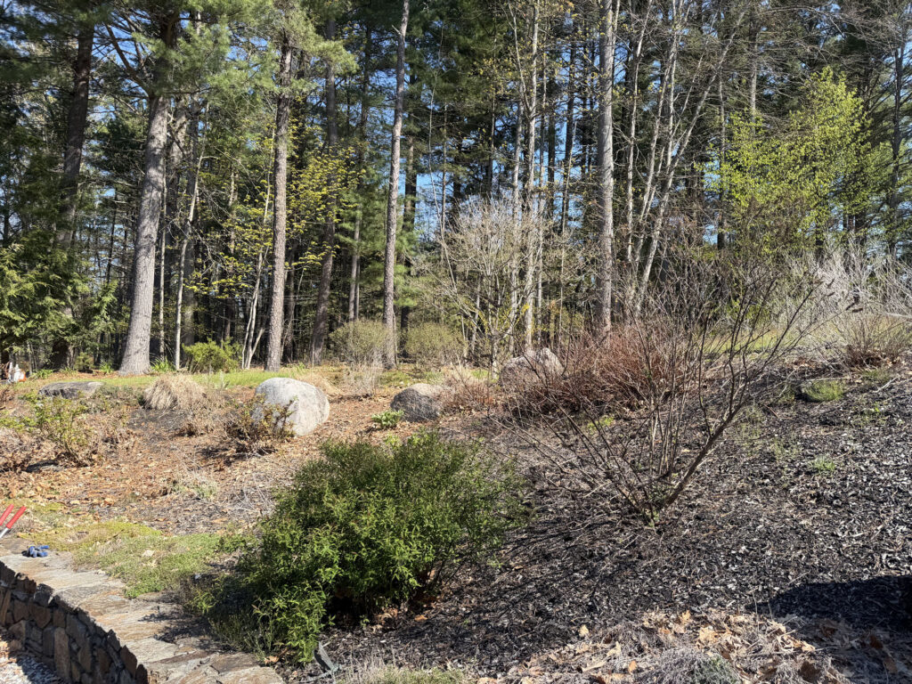 🌿Garden Design and Installation in Hollis, NH