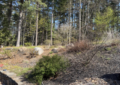 🌿Garden Design and Installation in Hollis, NH