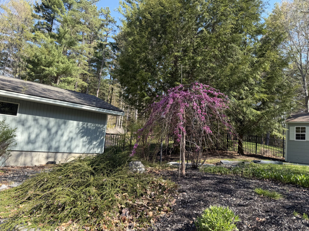 🌿Garden Design and Installation in Hollis, NH
