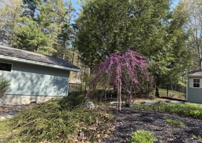 🌿Garden Design and Installation in Hollis, NH